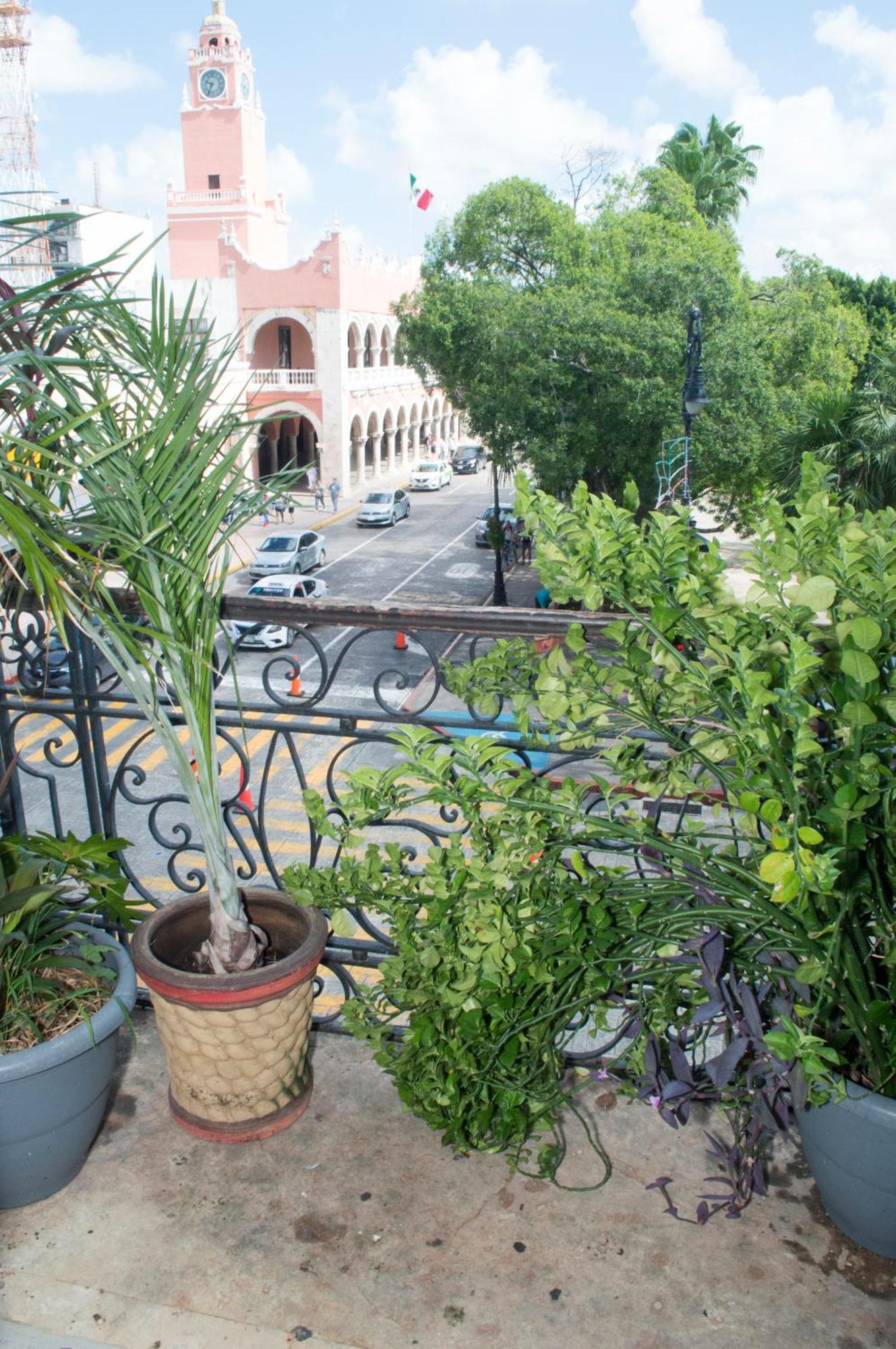 Hotel Hostal Zocalo Mérida Esterno foto